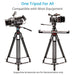 Proaim 100mm Camera Tripod Stand with Aluminum Spreader